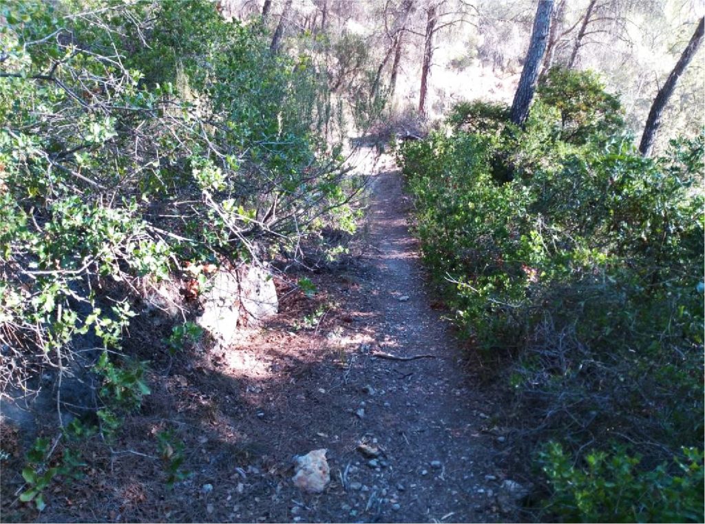 Sendero Umbría del Río